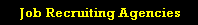 Recruiting Agencies and Placement Services